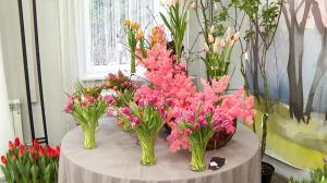 Тюльпанотерапия: выставка распустившихся первоцветов и сирени в Ботаническом саду для тех, кто очень ждёт весну