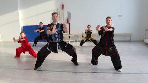 Ушу для начинающих