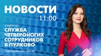 Новости Петербурга к 11:00