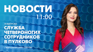 Новости Петербурга к 11:00