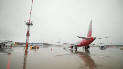 Самолёт вернулся в Пулково из-за технической неполадки: транспортная прокуратура начала проверку