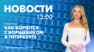 Новости Петербурга к 13:00