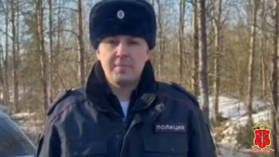 В аварии в Гатчинском районе погибла женщина, управлявшая иномаркой