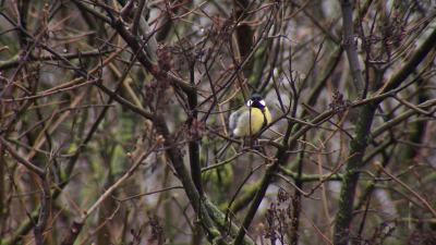 Петербург вновь побил рекорд: сутки 17 марта стали самыми тёплыми за всю историю наблюдений