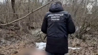 Уголовное дело об убийстве 17-летнего: тело нашли вблизи станции «Кондакопшино», подозреваемый вернулся прятать улики