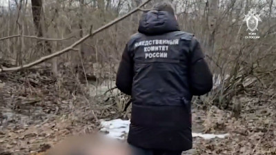 Уголовное дело об убийстве 17-летнего: тело нашли вблизи станции Кондакопшино, подозреваемый вернулся прятать улики