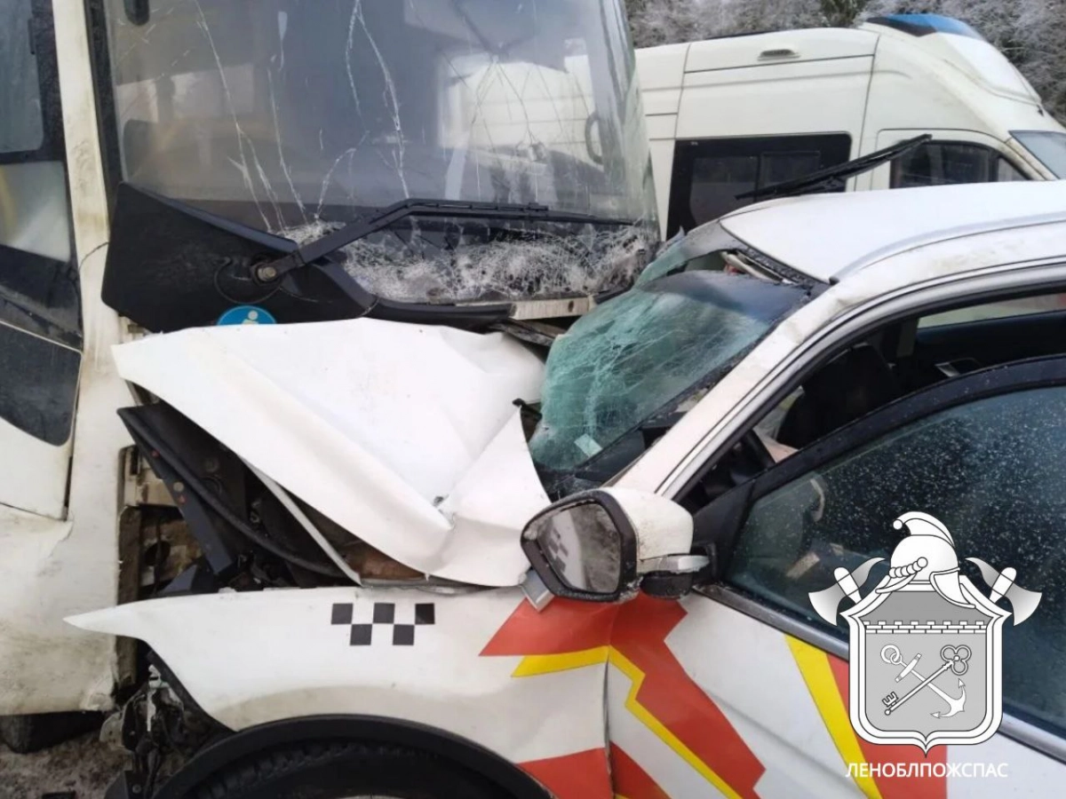 В Волосовском районе Ленобласти столкнулись легковушка и пассажирский автобус: есть пострадавшие - tvspb.ru