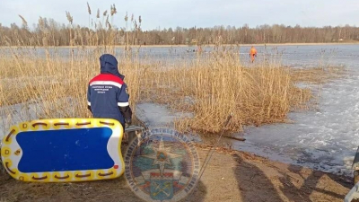 В Приозерске женщина провалилась под лед озера Комсомольское