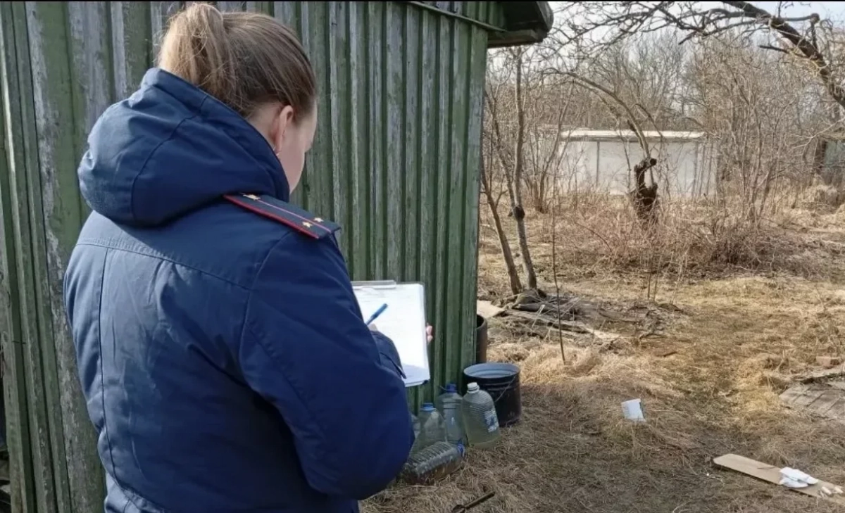 Ревность, выстрел в голову и еще один выстрел — в полицейского: в Пушкине задержали подозреваемого в убийстве - tvspb.ru