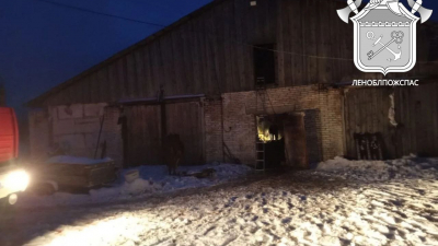 В пожаре на ферме в Ленобласти погибли 50 животных