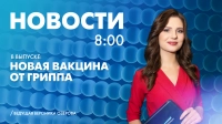Новости Петербурга к 8:00