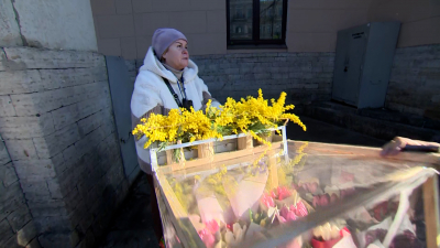 Петербургские улицы чистят от цветочного криминала — бутоны продают незаконно