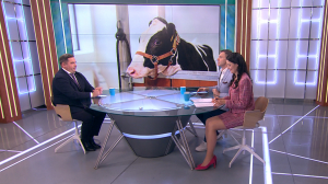 Идеальный телёнок: в Петербурге поставили на поток рождение животных с заданными характеристиками