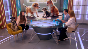 Он вам не Васька: как животные воспринимают свою кличку и на что обратить внимание при выборе имени питомцу