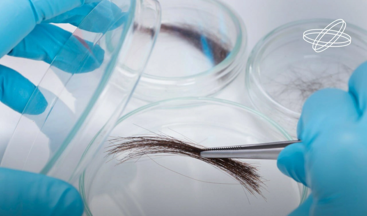 Новый научный подход: кардиориски теперь определяют по волосам - tvspb.ru