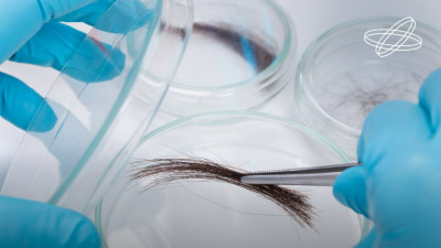 Новый научный подход: кардиориски теперь определяют по волосам