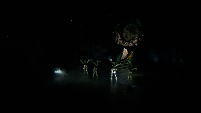 На Большой сцене ТЮЗа имени  Брянцева прошла премьера спектакля «Карлик Нос»