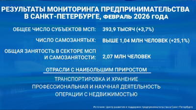 В Петербурге зарегистрировано 393,9 тысячи субъектов малого и среднего предпринимательства