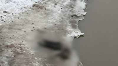 Следователи выяснили имя девушки, утонувшей в реке Утка в Невском районе