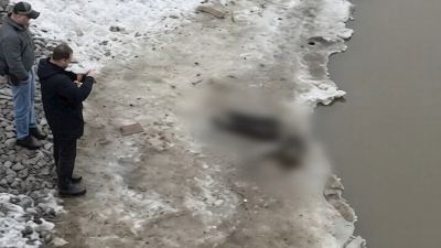 На берегу Лахтинского Разлива нашли тело пропавшей 17-летней девушки: СК начал проверку