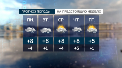 Тепло и солнце или дожди и холод: чего ждать от погоды в Петербурге с 15 по 20 марта