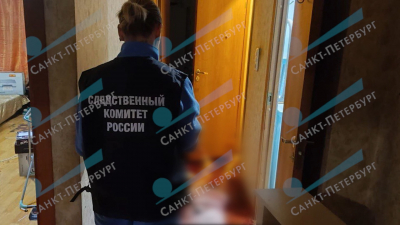 «Случайное» убийство: петербурженка предстанет перед судом за фатальное ножевое ранение приятелю