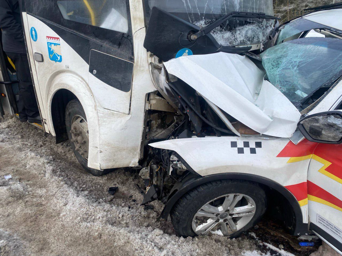 В Ленобласти после ДТП с автобусом, в котором пострадали 12 человек, возбудили уголовное дело - tvspb.ru