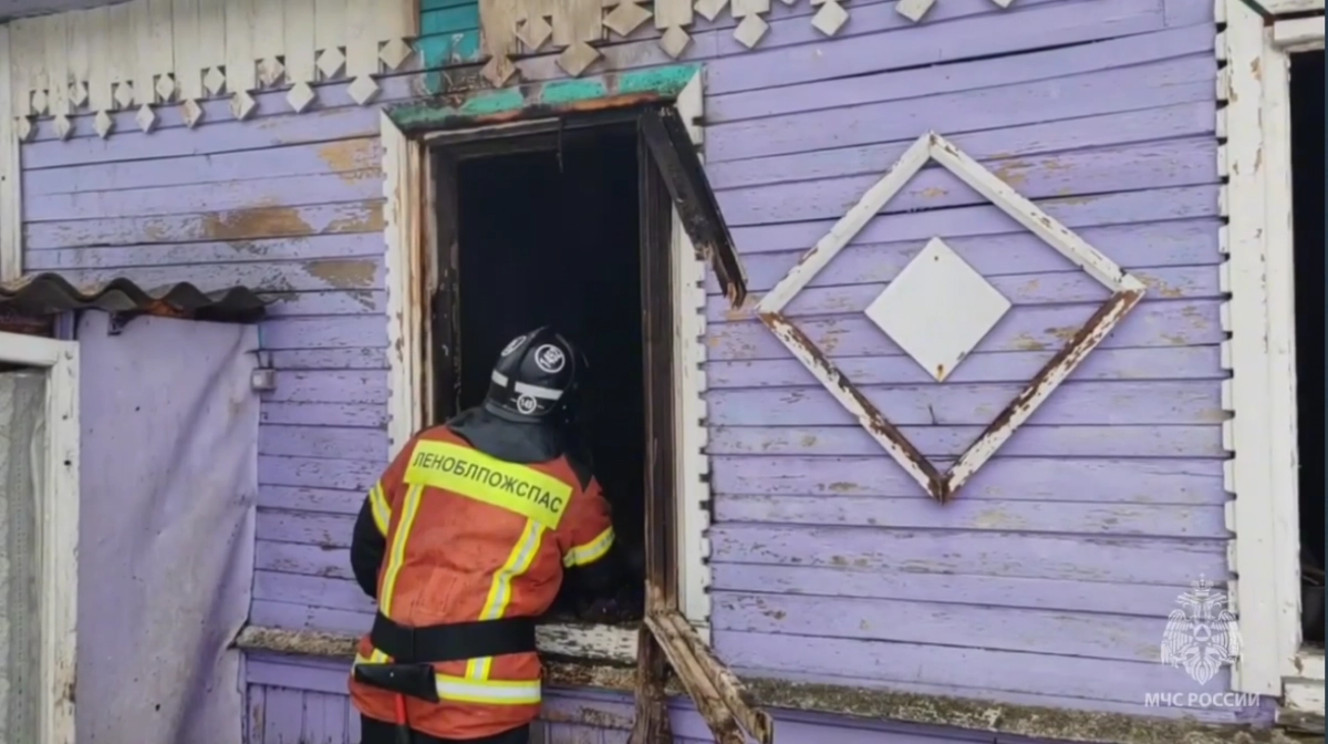 В Сланцевском районе Ленобласти на пожаре погибло два человека - tvspb.ru