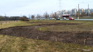 Цветы – круглый год: в Красносельском районе садовники разбивают необычный цветник