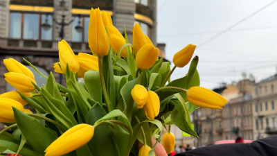 Александр Беглов и Александр Бельский поздравили жительниц Петербурга с Международным женским днем