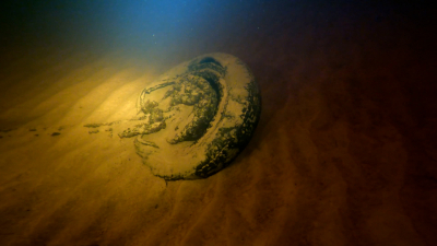 На дне Ладоги нашли пять машин, затонувших во время войны