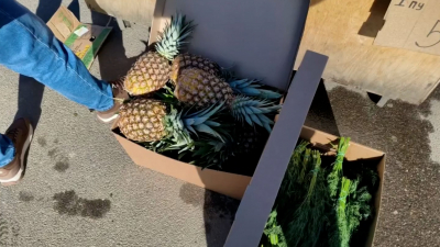ККИ изъял 45 кг ананасов, клубники и зелени у нелегальных торговцев в Озерках