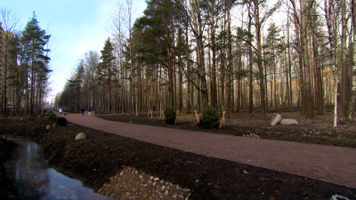 Скверы, парки, аллеи: где в Петербурге появятся новые общественные пространства