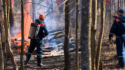 Сотрудники МЧС напомнили дачникам о правилах безопасности в пожароопасный сезон