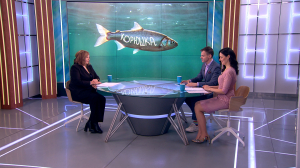 Корюшка пошла — или ещё нет: как отличить свежий улов от замороженной с прошлого года рыбы