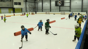 Будущие звёзды ледовых арен