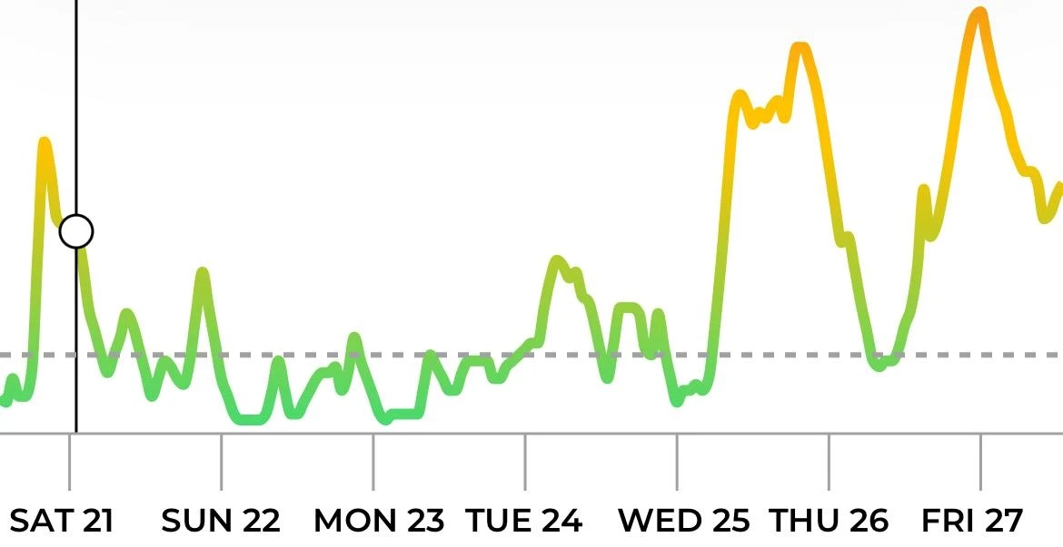 В Петербурге после пожара в порту Усть-Луга ухудшилось качество воздуха - tvspb.ru