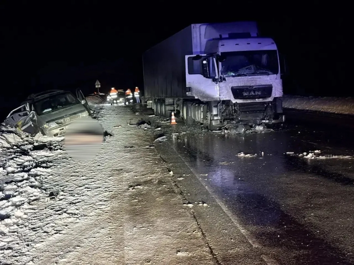 Под Новосибирском в ДТП с микроавтобусом погибли пять человек - tvspb.ru