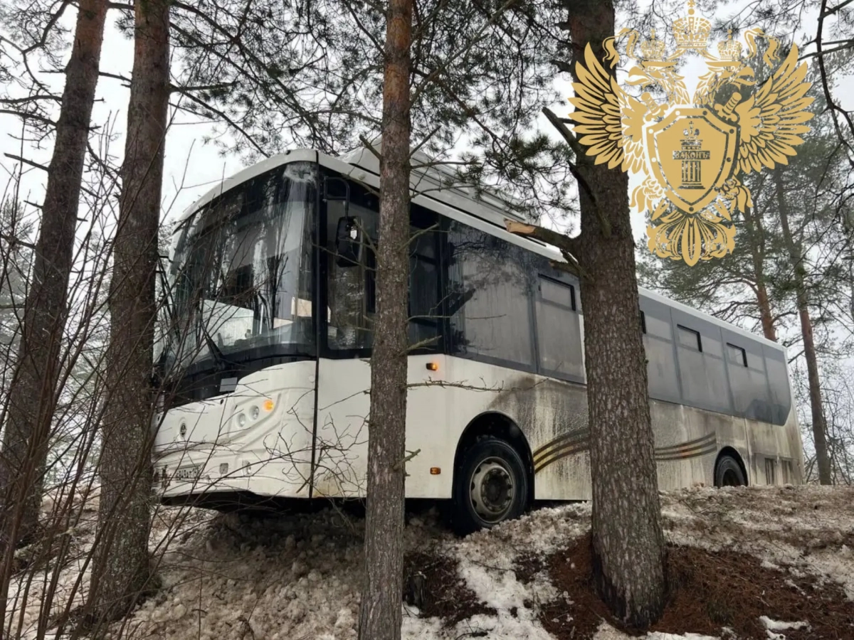 Выехал на встречку и улетел в кювет: в Подпорожье рейсовый автобус с пассажирами попал в ДТП - tvspb.ru