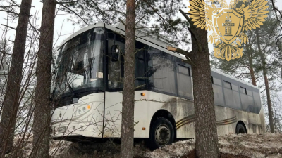 Выехал на встречку и улетел в кювет: в Подпорожье рейсовый автобус с пассажирами попал в ДТП