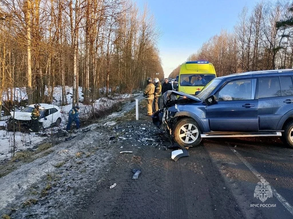 В Гатчинском округе произошло смертельное ДТП: погиб водитель «Хендая» - tvspb.ru