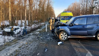 В Гатчинском округе произошло смертельное ДТП: погиб водитель «Хендая»
