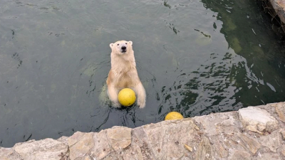 Хаарчаане впервые набрали бассейн после зимы