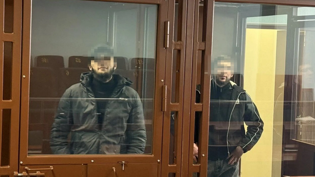 Более 500 ножевых: в Петербурге вынесли приговор за зверское убийство - tvspb.ru