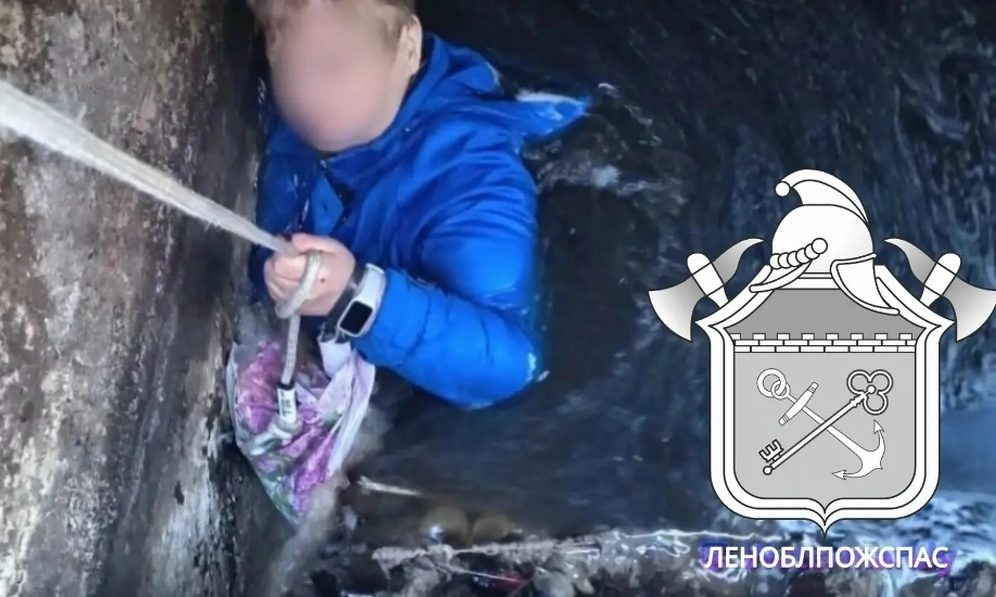 Падение женщины в канализационный коллектор в Сясьстрое обернулось уголовным делом - tvspb.ru