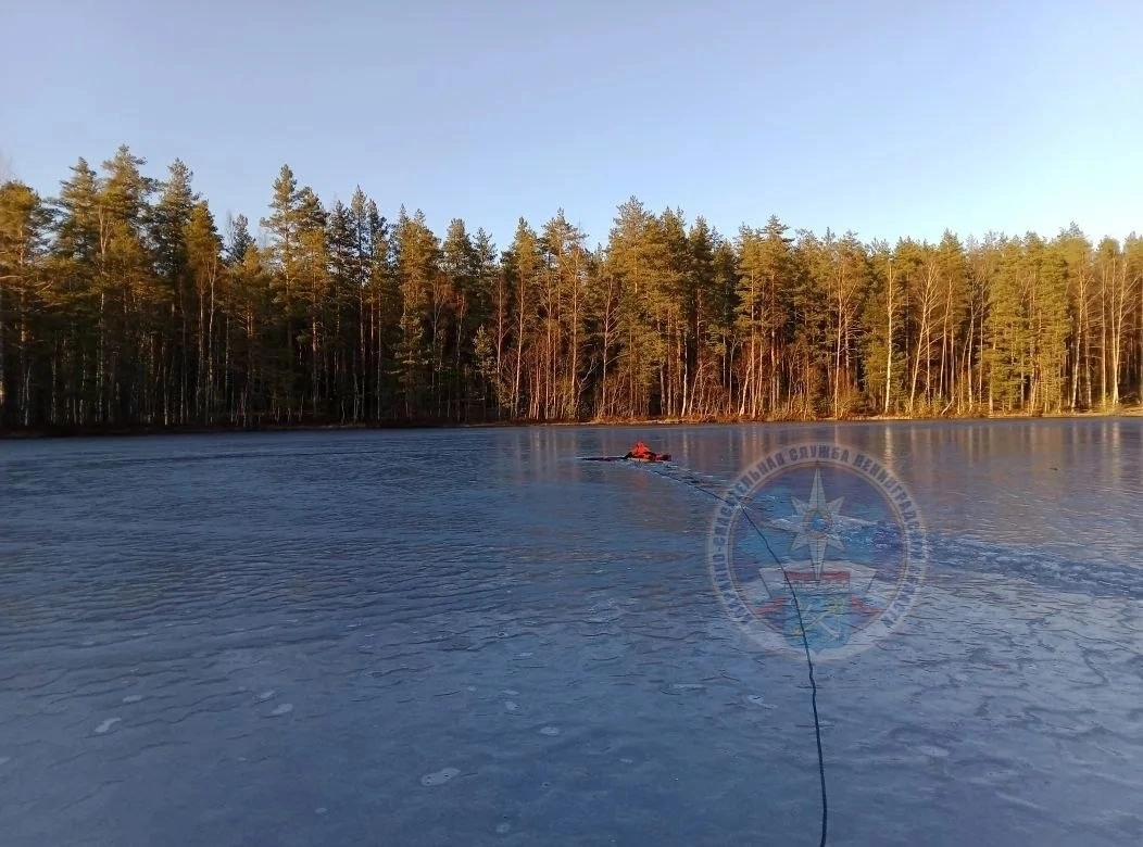 Тело рыбака вытащили из озера Лебяжье под Петербургом - tvspb.ru