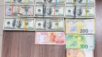 Российские таможенники пресекли контрабанду более 12 млн рублей в долларах и евро