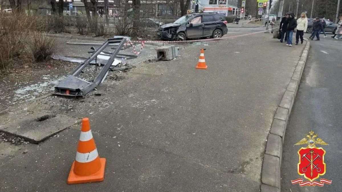 В отношении 79-летнего водителя, сбившего семью на тротуаре в Пушкине, возбудили уголовное дело - tvspb.ru