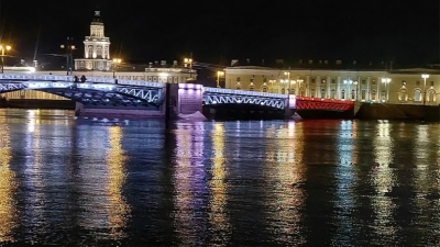В честь 10-летия Росгвардии в Петербурге зажгут факелы Ростральных колонн и включат праздничную подсветку мостов