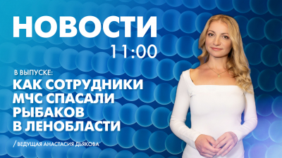 Новости Петербурга к 11:00